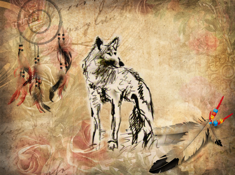 Indianer Horoskop Wolf