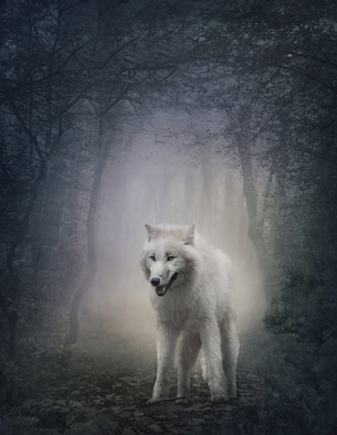 Mystischer Wolf